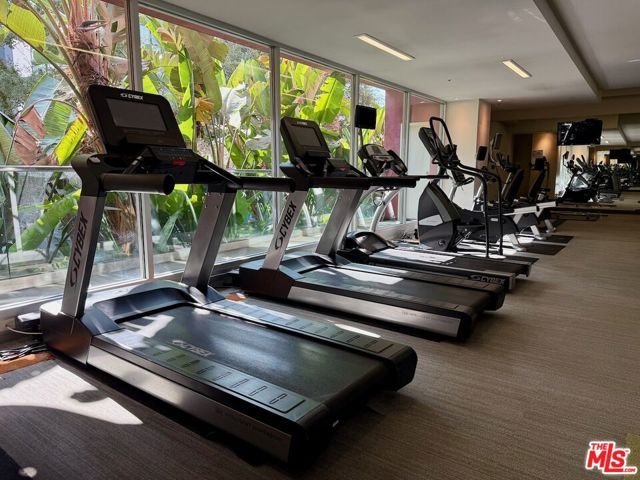 1234 Wilshire Boulevard 403, Los Angeles, CA 90017
