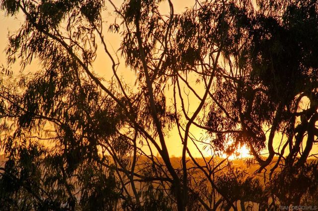 3033 India St. 6, San Diego, CA 92103