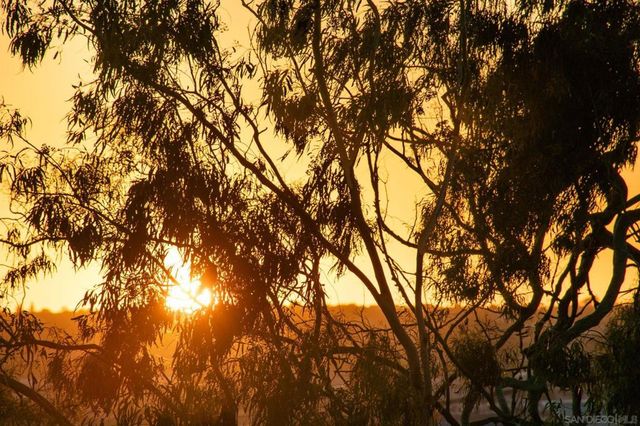 3033 India St. 6, San Diego, CA 92103