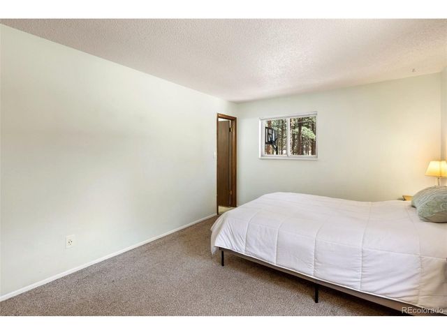 723 N Center St, Woodland Park, CO 80863