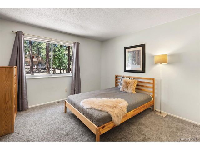 723 N Center St, Woodland Park, CO 80863