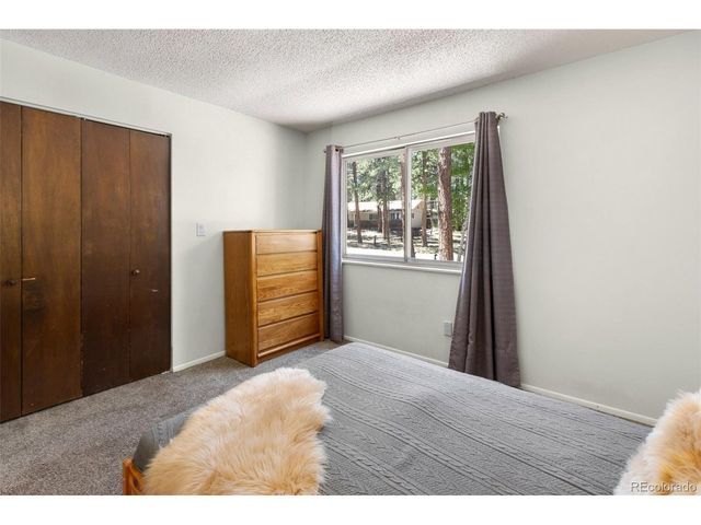 723 N Center St, Woodland Park, CO 80863