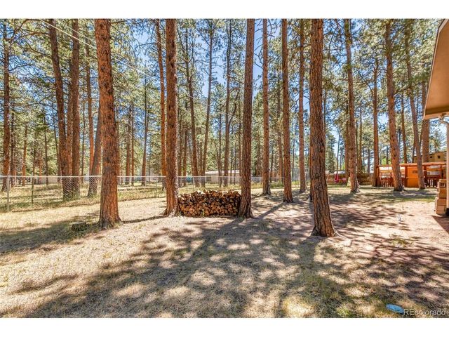 723 N Center St, Woodland Park, CO 80863