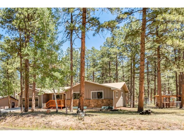 723 N Center St, Woodland Park, CO 80863