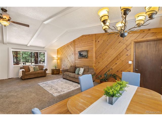 723 N Center St, Woodland Park, CO 80863