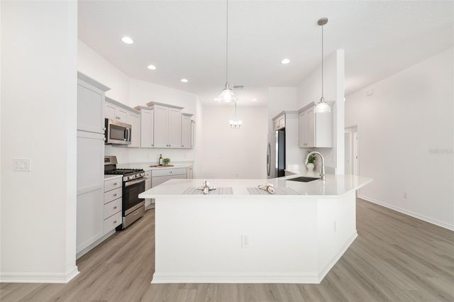 4176 WIDMANN PLACE, The Villages, FL 32163