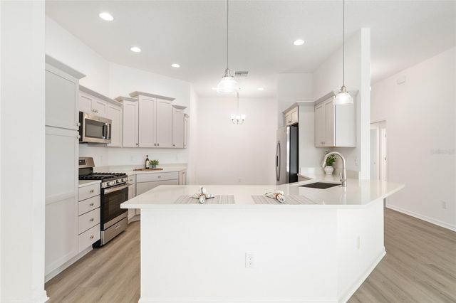 4176 WIDMANN PLACE, The Villages, FL 32163