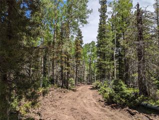 2904 Henderson Drive, Fort Garland, CO 81133