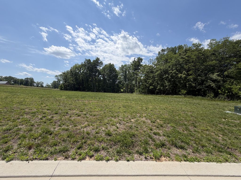 8386 Six String Drive Lot 1207, College Grove, TN 37046