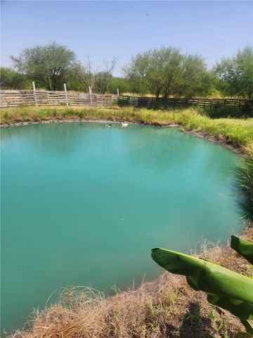 894 COUNTY ROAD 465, Alice, TX 78332