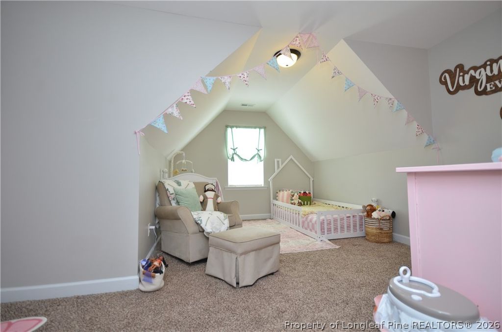 82 Folly Court, Linden, NC 28356 — photo 29