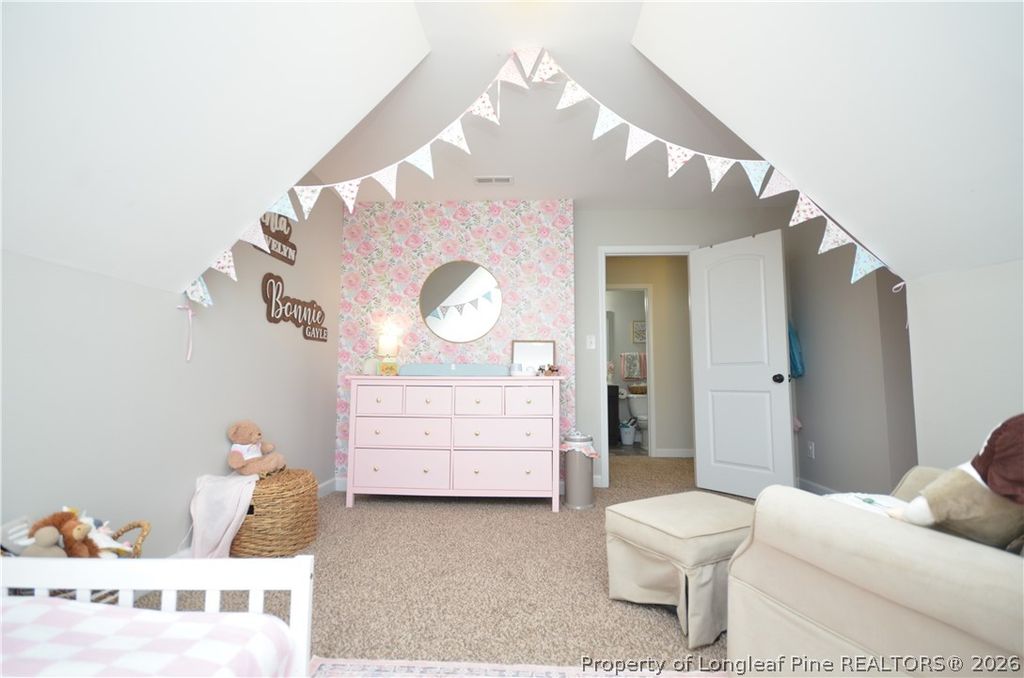 82 Folly Court, Linden, NC 28356 — photo 32