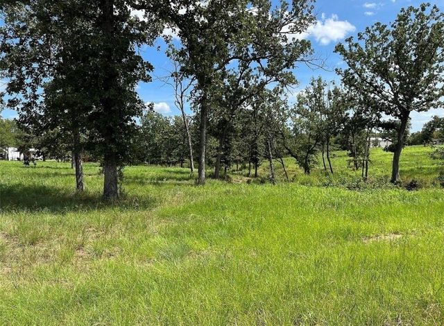 TBD Hickory Loop, Thornton, TX 76687