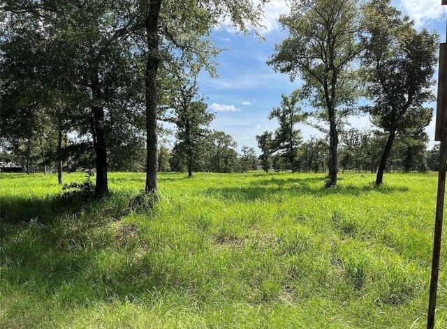 TBD Hickory Loop, Thornton, TX 76687