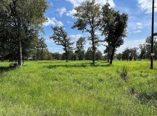 TBD Hickory Loop, Thornton, TX 76687