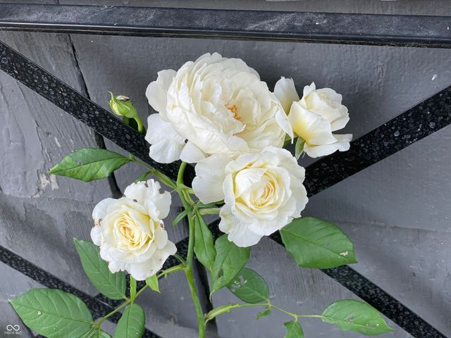 1466 N Drexel Avenue, Indianapolis, IN 46201