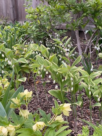 1466 N Drexel Avenue, Indianapolis, IN 46201