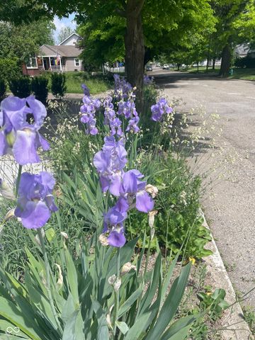 1466 N Drexel Avenue, Indianapolis, IN 46201