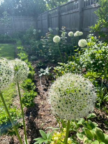 1466 N Drexel Avenue, Indianapolis, IN 46201