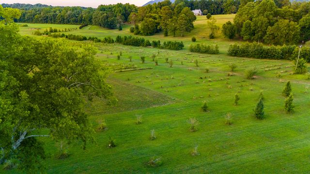1072 Cookson Creek Road, Ocoee, TN 37361