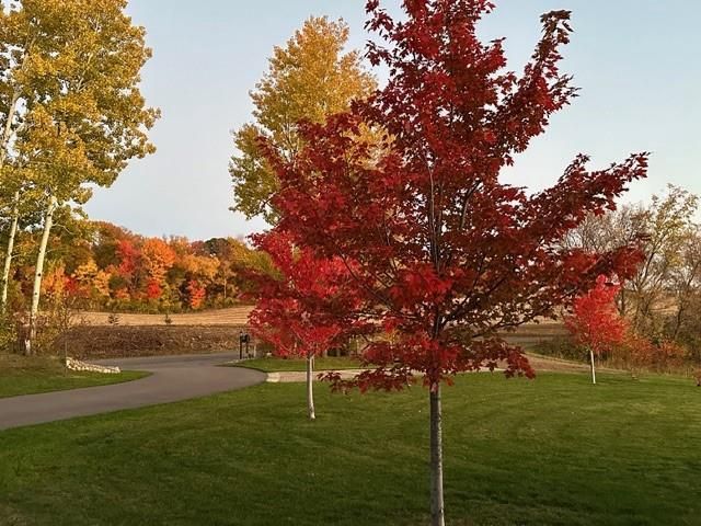 10674 70th Street, Chippewa Falls, WI 54729