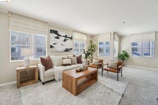 535 Pierce St 3216, Albany, CA 94706