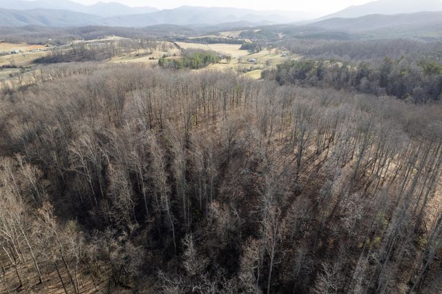 000 Short Hill DR, Buchanan, VA 24066