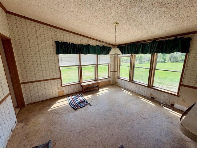 8912 Carpenter Road, Angora, MN 55703