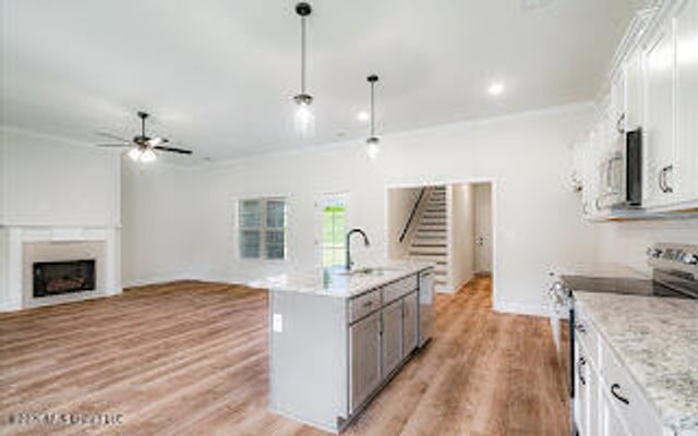 2263 Scott Mdws Lane, Hernando, MS 38632