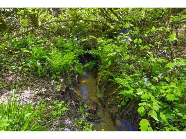 23892 BUTLER Rd, Elmira, OR 97437