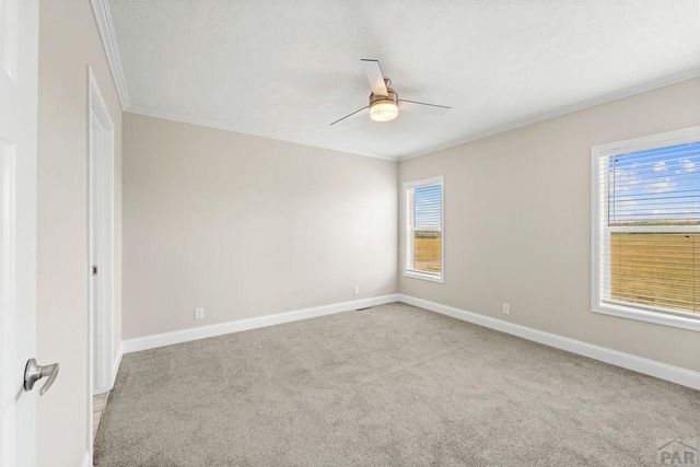 4828 Hicklin Dr, Colorado City, CO 81019