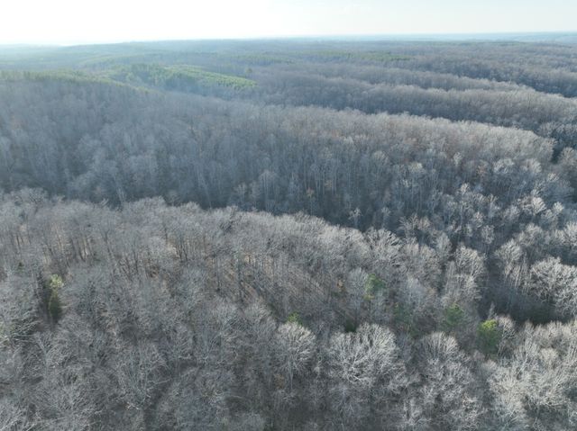 1356 Upper Standing Rock Rd, Dover, TN 37058