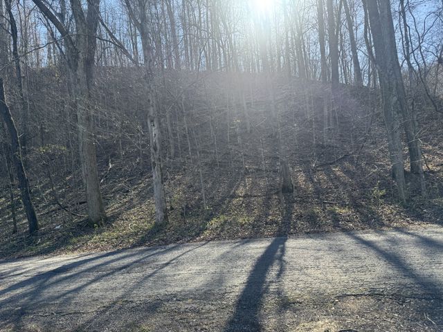 1356 Upper Standing Rock Rd, Dover, TN 37058