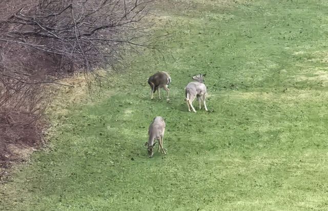 490 W Us Hwy 30, Valparaiso, IN 46385