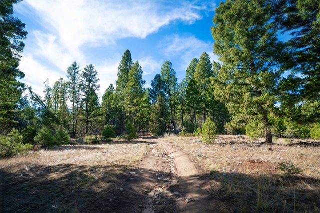 TBD Delmoe Lake Road, Whitehall, MT 59759 property photo