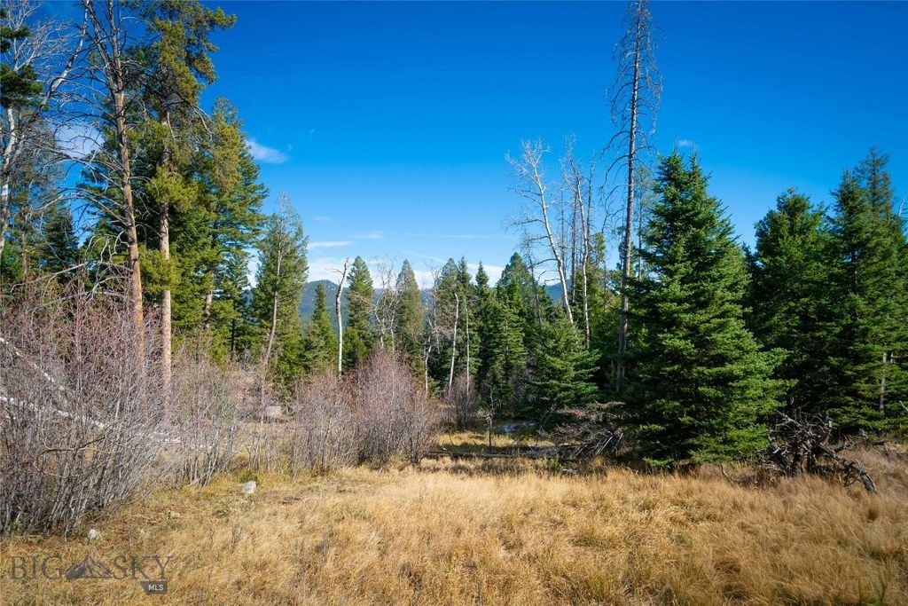 TBD Delmoe Lake Road, Whitehall, MT 59759 photo 2