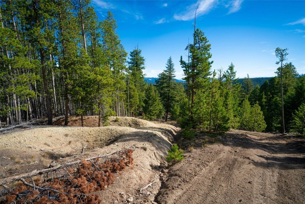 TBD Delmoe Lake Road, Whitehall, MT 59759 photo 3