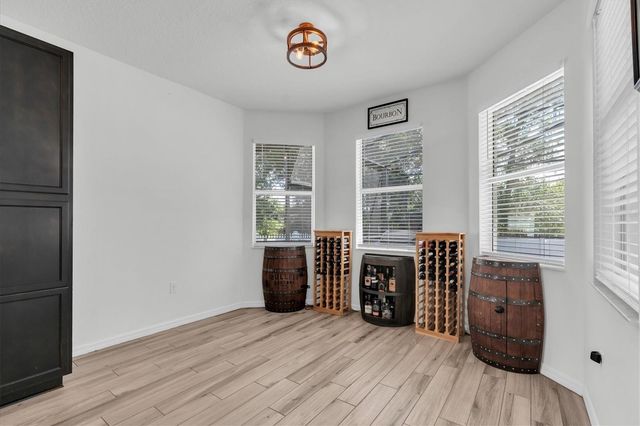 19722 LONESOME PINE DRIVE, Land O Lakes, FL 34638