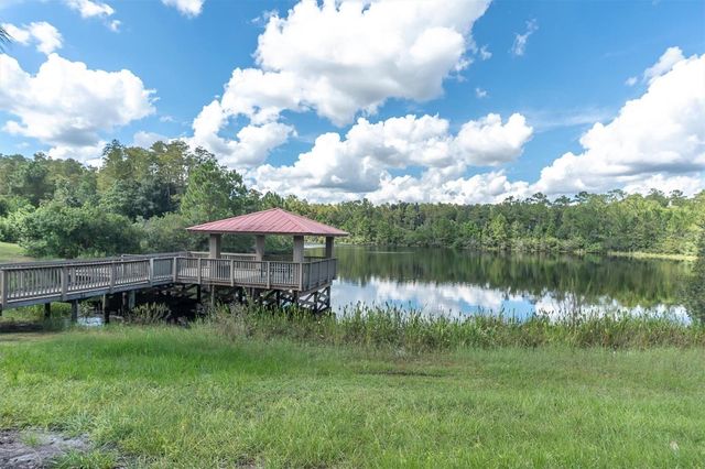 19722 LONESOME PINE DRIVE, Land O Lakes, FL 34638