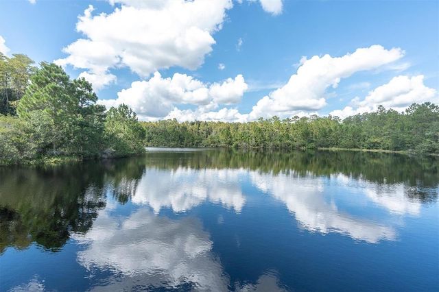 19722 LONESOME PINE DRIVE, Land O Lakes, FL 34638