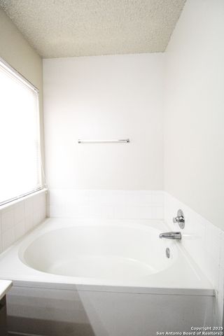3223 Tree Grove, San Antonio, TX 78247