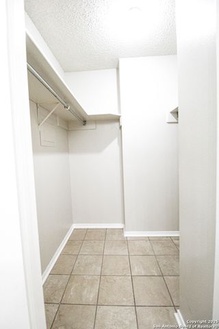 3223 Tree Grove, San Antonio, TX 78247