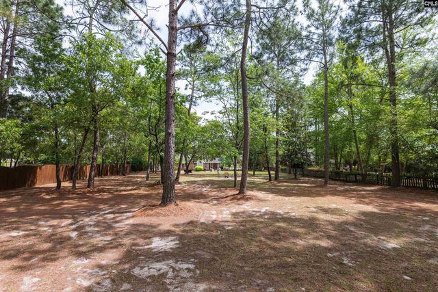 804 Cedar Break Court, Lexington, SC 29073