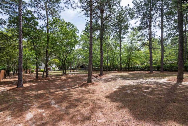 804 Cedar Break Court, Lexington, SC 29073