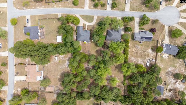 804 Cedar Break Court, Lexington, SC 29073
