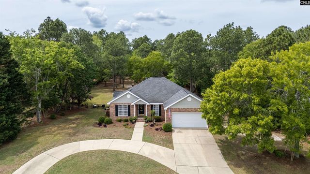 804 Cedar Break Court, Lexington, SC 29073