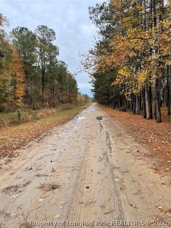 Porcelain Lane, Maxton, NC 28364 — photo 2