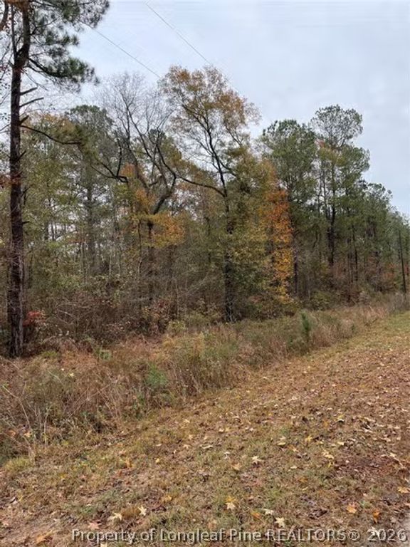 Porcelain Lane, Maxton, NC 28364 — photo 3