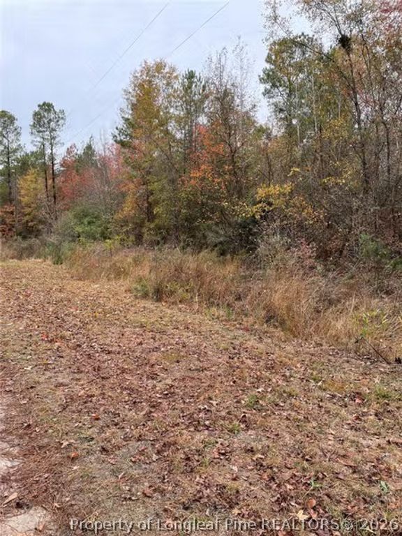 Porcelain Lane, Maxton, NC 28364 — photo 4