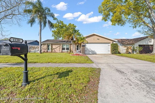 11201 Island Pine Drive, Port Richey, FL 34668